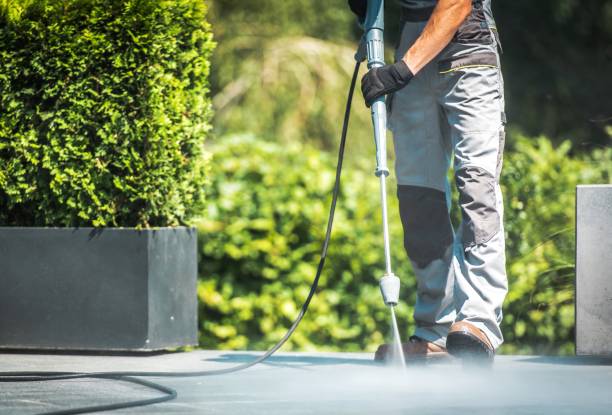 Best Solar Panel Cleaning  in Clewiston, FL