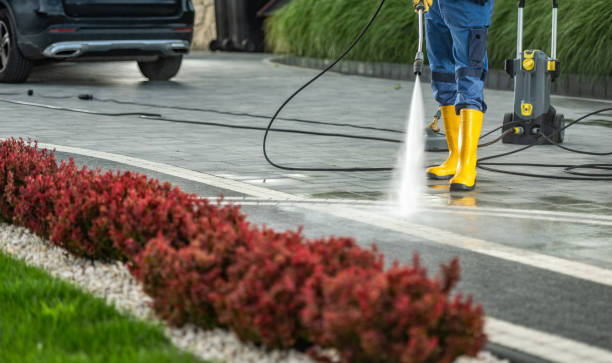 Best Building Exterior Washing  in Clewiston, FL